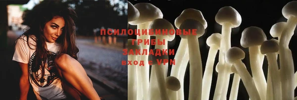 ПСИЛОЦИБИНОВЫЕ ГРИБЫ Алзамай