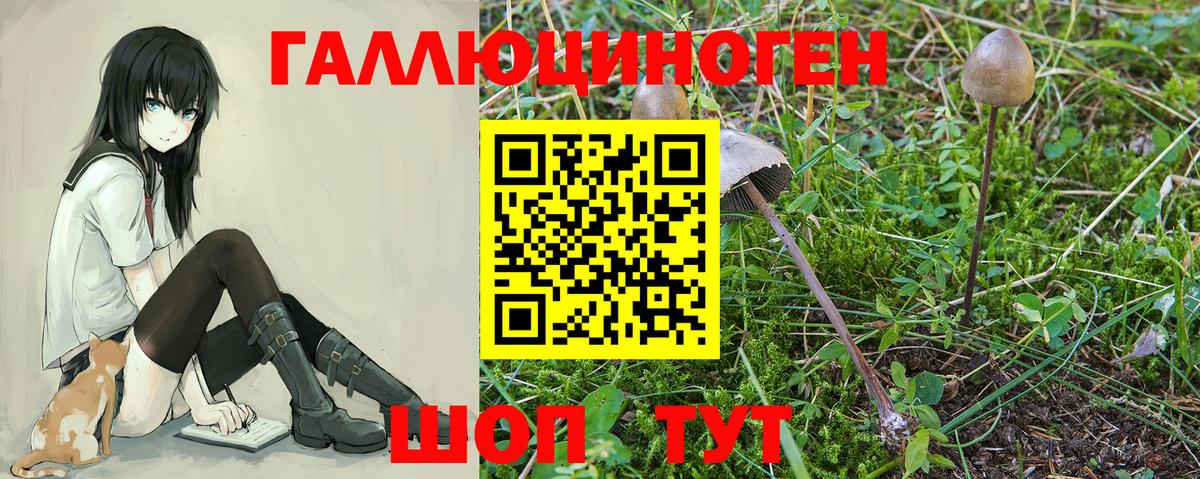 Псилоцибиновые грибы мицелий  Вход с VPN  Архангельск  Галлюциногенные грибы Cubensis 
