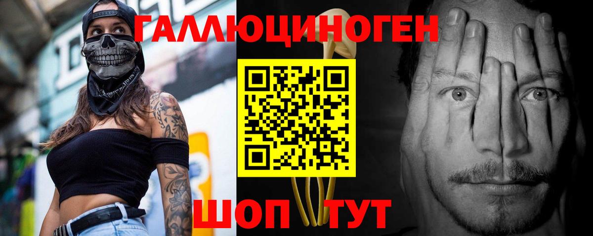 Псилоцибиновые грибы Psilocybe Архангельск