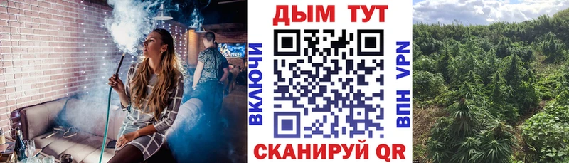 Конопля индика  Архангельск 